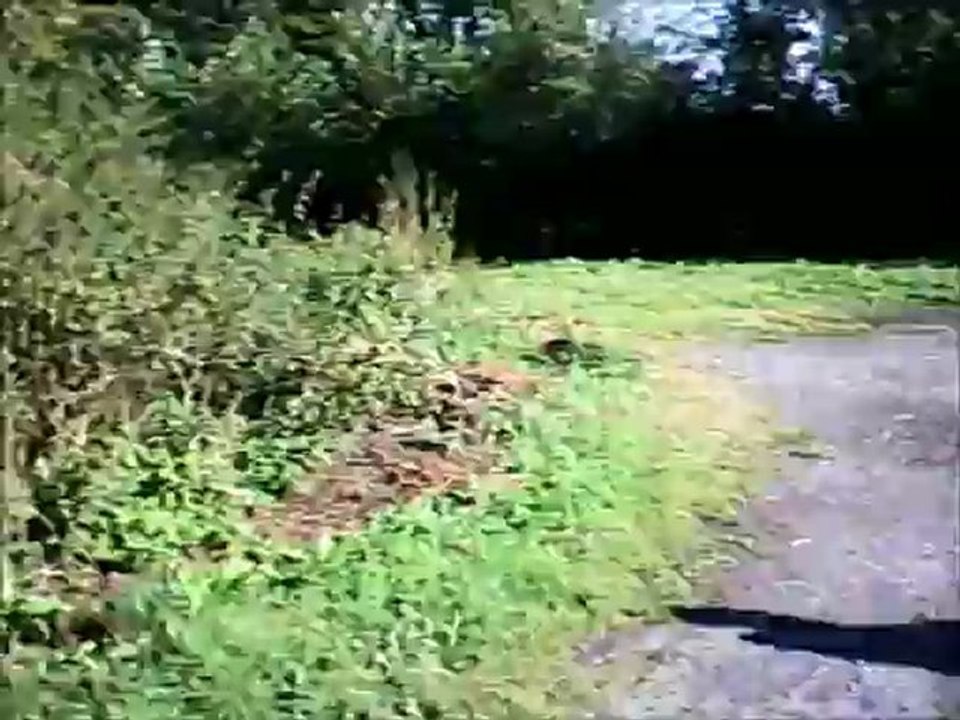 berlaimont 2012