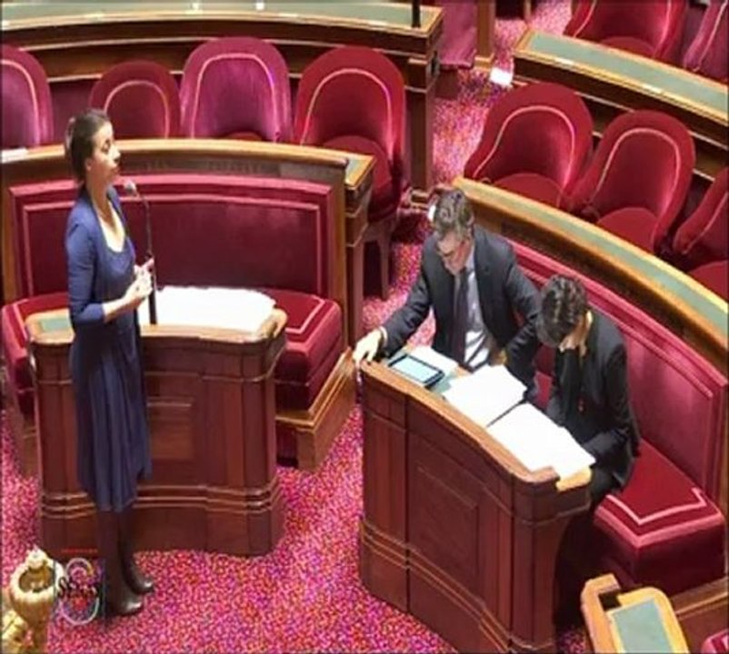 Philippe Dominati, Sénateur de Paris : Avenir du grand paris