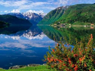 Vagabonde - Denis Lepine