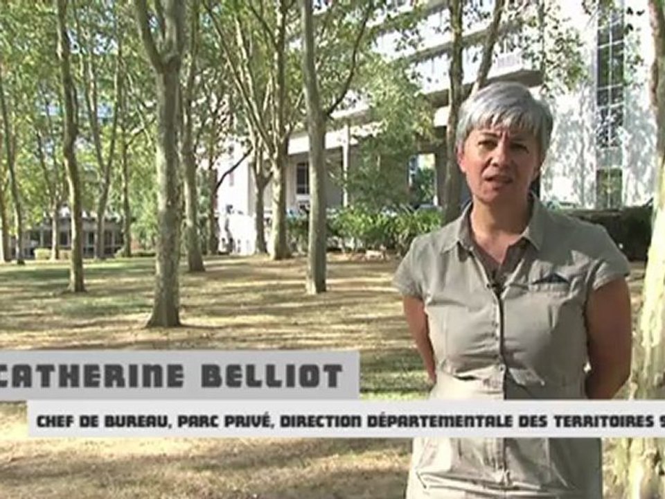 coproriétés dégradés