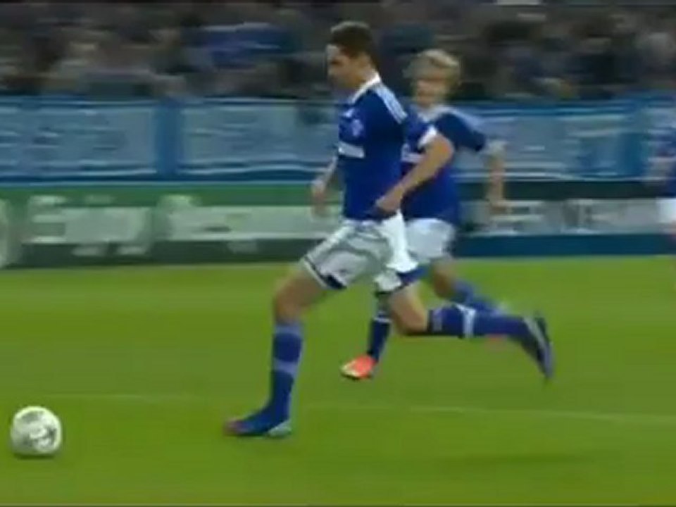 Schalk1