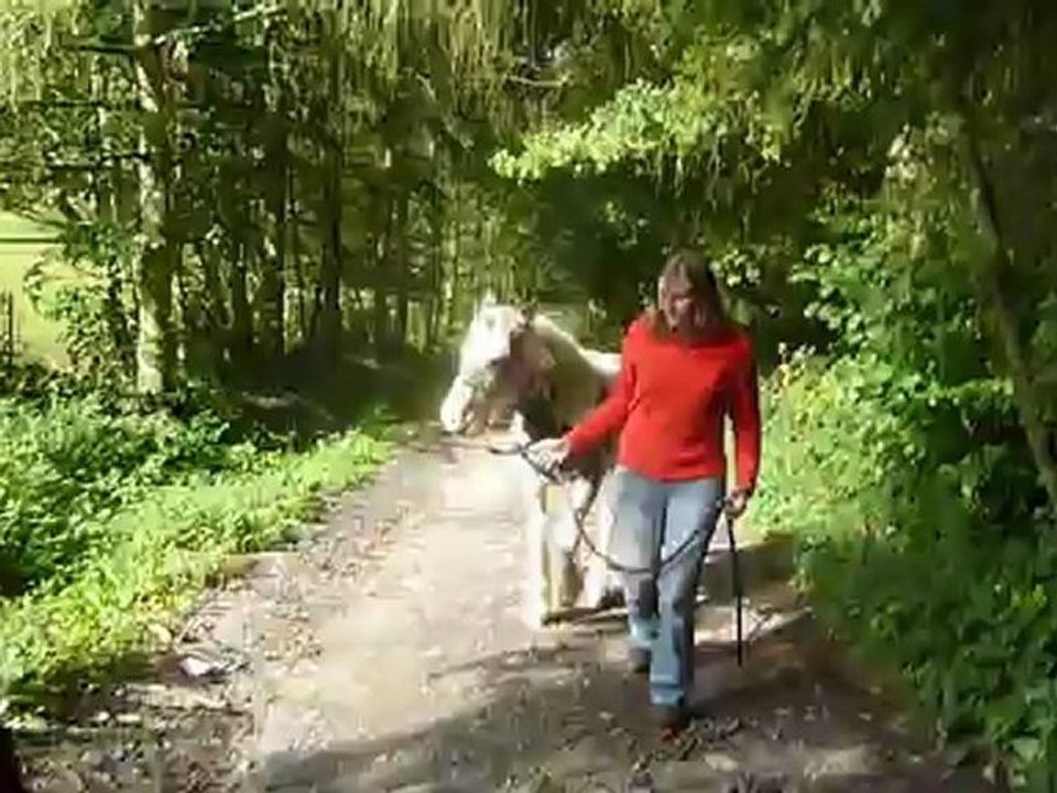2ème balade de Cap'tain des Gypsys d'Eau Drey