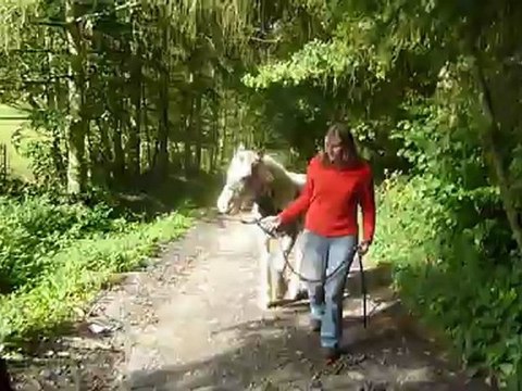 2ème balade de Cap'tain des Gypsys d'Eau Drey