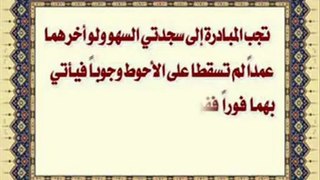 سلسلة الفقه المصور طبقاً لرأي السيد السيستاني دام ظله في المسائل الفقهية: سجود السهو