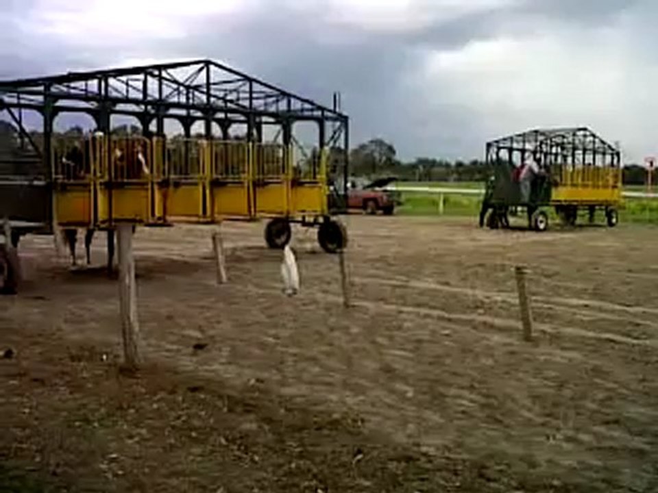 Cuadrera olavarriense
