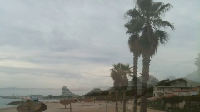 Sur la plage..Balade en Bord de Mer en liberté à Villeneuve-Loubet..