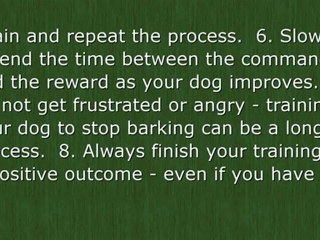 How to Stop Your Dog From Barking