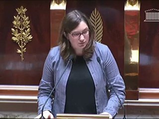 2ème intervention Fanélie Carrey-Conte  séance publique à l'Assemblée - emplois d'avenir