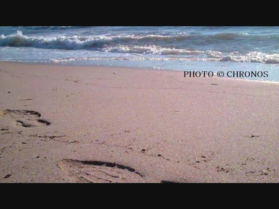 PHOTOS