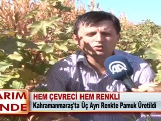 HEM ÇEVRECİ HEM RENKLİ