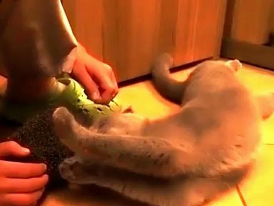 Ежик-щетка