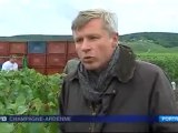 Jean-Baptiste Lécaillon, chef de cave Roederer