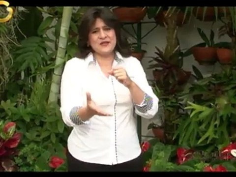 Todo sobre mi padre: versos del alma