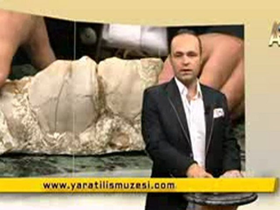 MİLYONLARCA YILDIR DEĞİŞMEYEN FİLLER