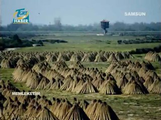 MEMLEKETİM PROGRAMI SAMSUN - I