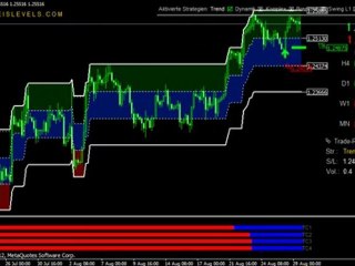 Currency System Erfahrungsbericht Video FX Preis Levels V4