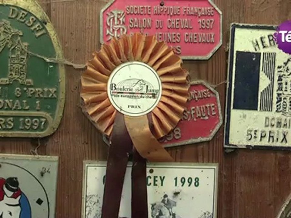 4 octobre 2012 - Le Selle Français, cheval de sport adapté à tous