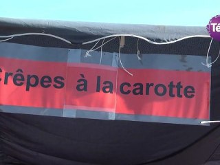 2 septembre 2012 - Fête de la Carotte à Créances