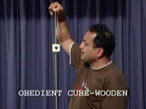 Obedient Cube in Wood by Uday - Magic Trick