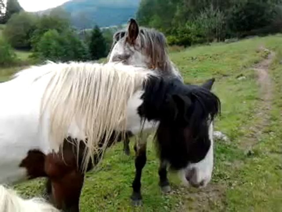 Akiro La Rosière oct 2012 025