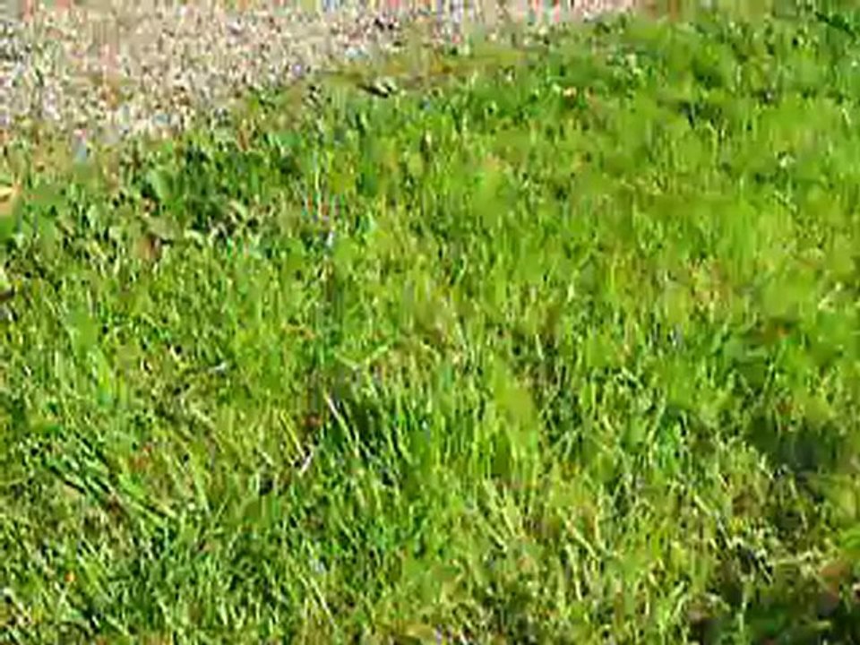 vidéo du 04.10.12 des 2 soeurs...