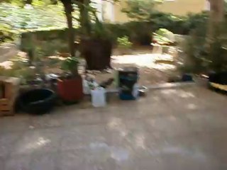 Redden et Gandhi octobre 2012 n° 2