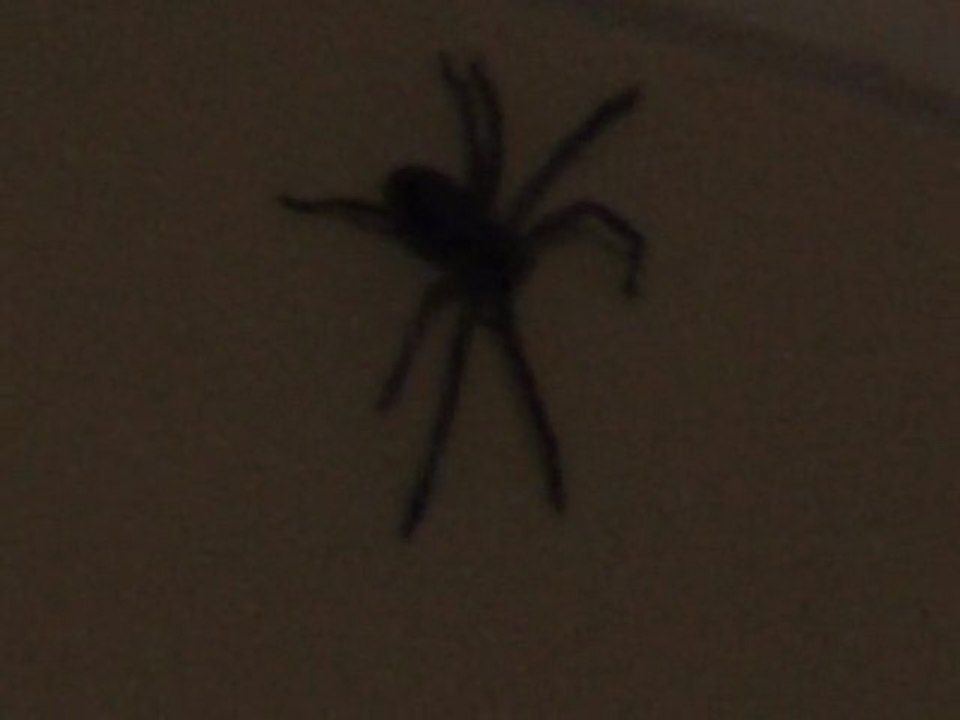 OZ TA VIE 8/13 CAIRNS AND THE WHITSUNDAYS ISLANDS (ENGLISH)