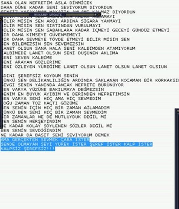 adını şerefsiz koydum senın