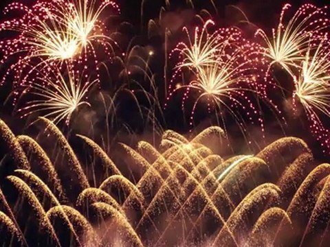 Nikon D800 Beyond the Basics Instructional Guide by Quickpro Camera Guides