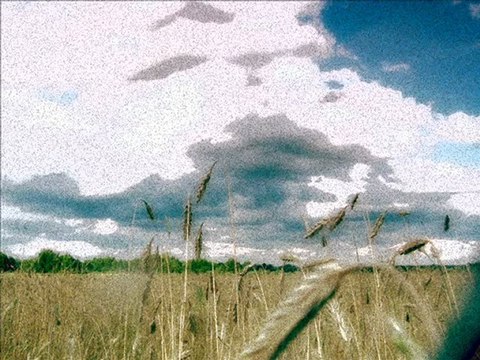 Sonja Perisic - Lastavice, lasto! (uzivo)