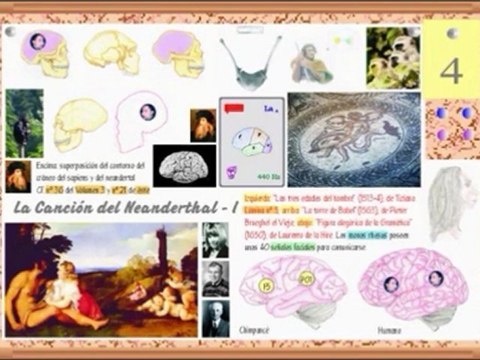 Neandertal - Hueso hioides - Prof Manuel Lafarga