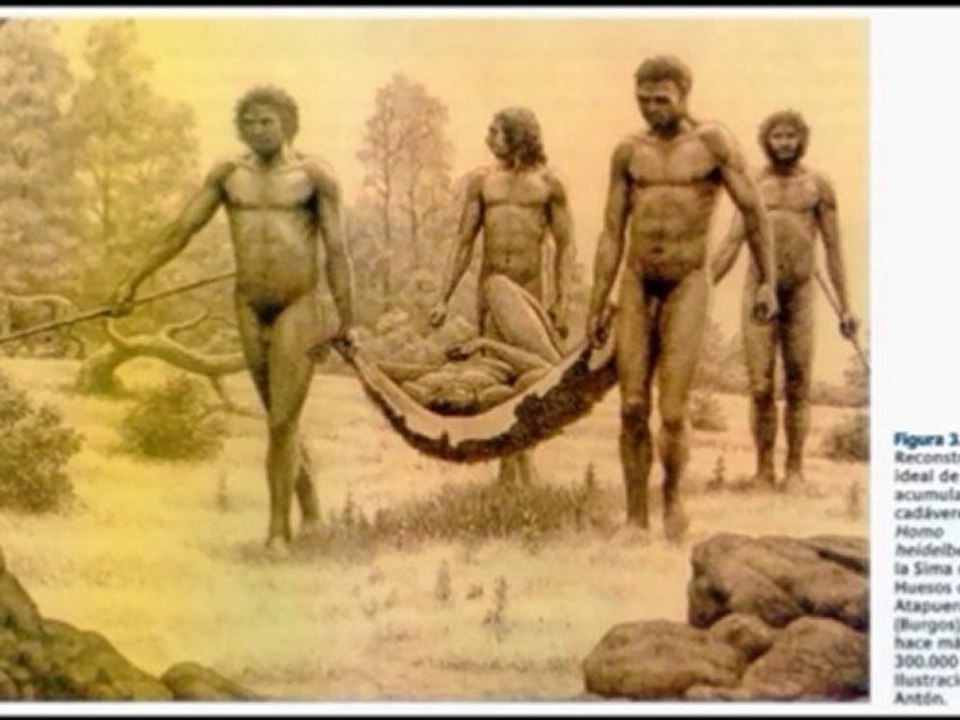 Neandertal - Ritos funerarios - Prof Manuel Lafarga