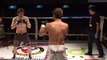 MMA : K.O en 3 secondes
