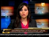 نولاند:أمريكا لن تحكم مسبقا على لجنة صياغة الدستور