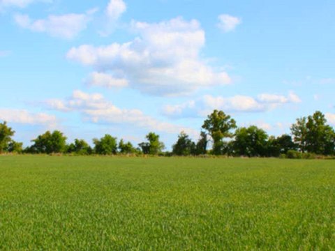 Piano Music to Relax - Fields of Green - Soft, Calm, Relaxing Piano Music