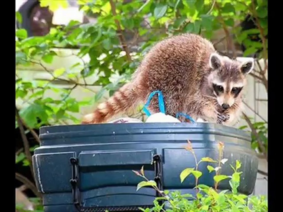 Trash can lid keeper