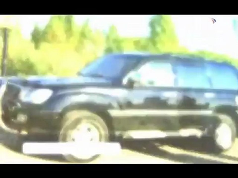 волчья стая