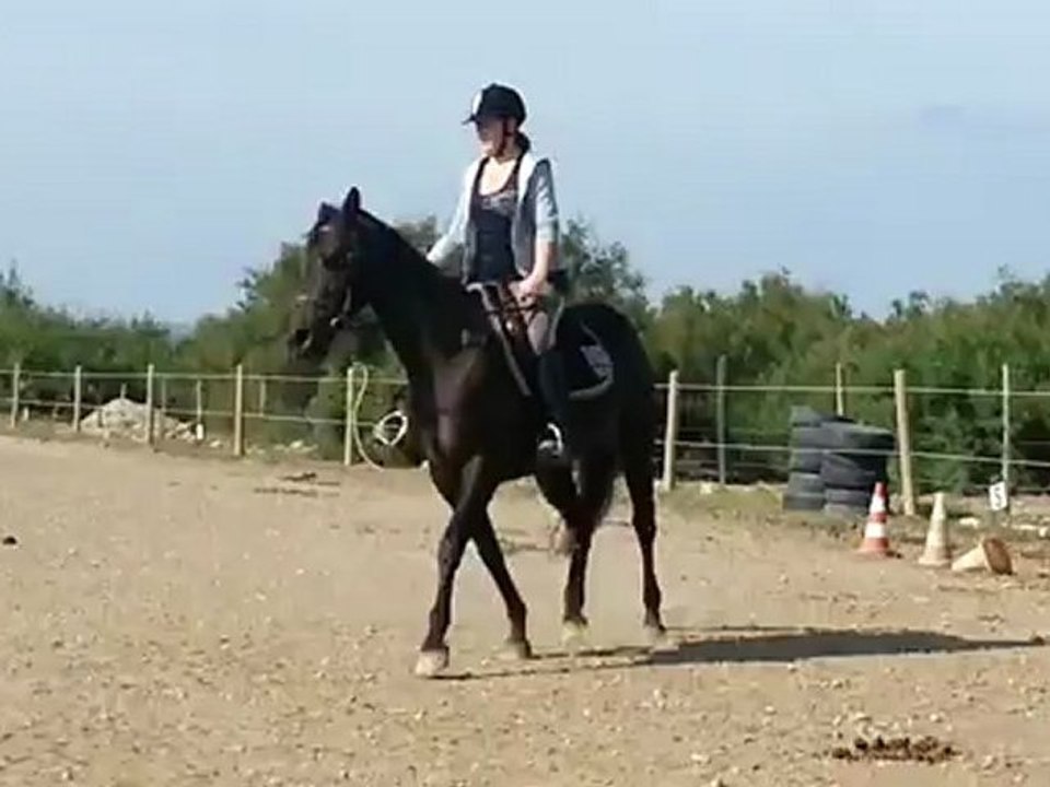 Quelques foulées de trot