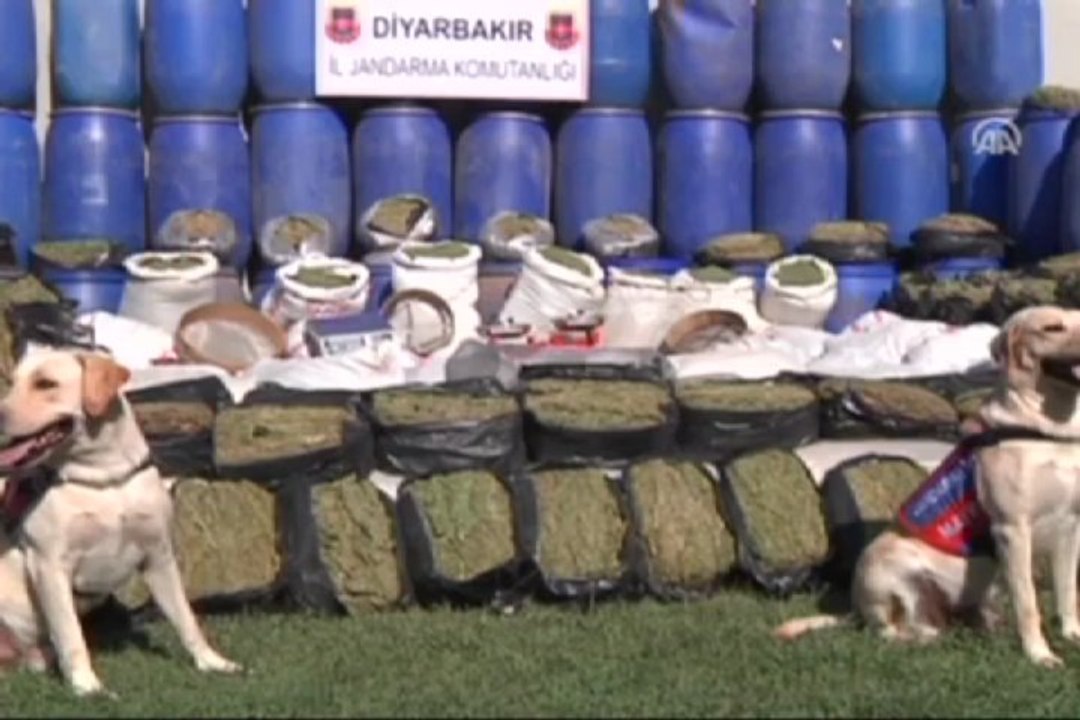 Büyük uyuşturucu operasyonu