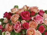 Send Grandparents Day Flowers in Houston TX Ace Flowers Houston Grandparents Day Flowers