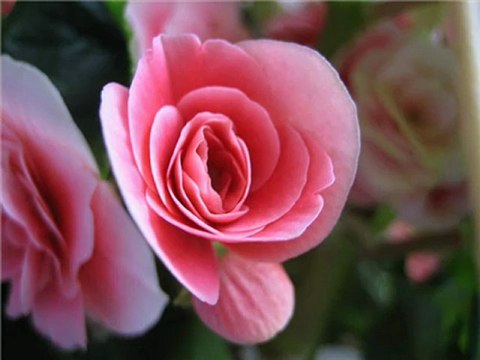 IVANA JORDAN - Dan da dođeš ti