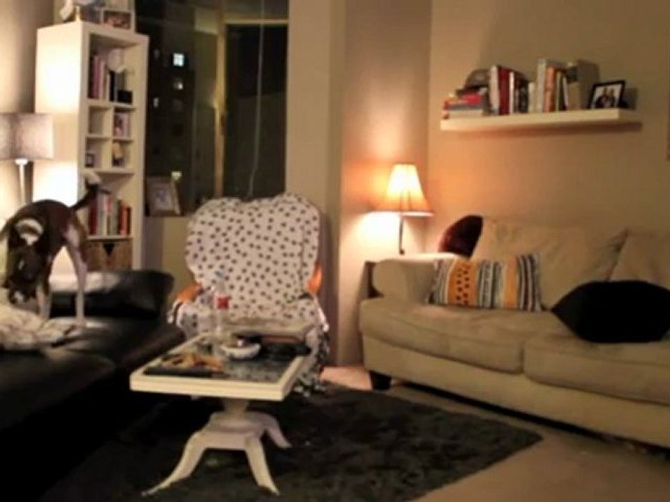 Que fait mon chien durant mon absence ?