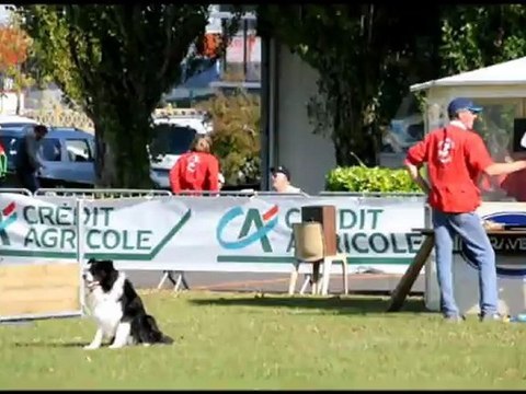 Fuego du fil du temps en concours obé à Caudry 2012