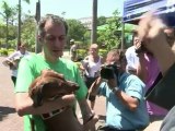 Rio's animals receive Franciscan blessing