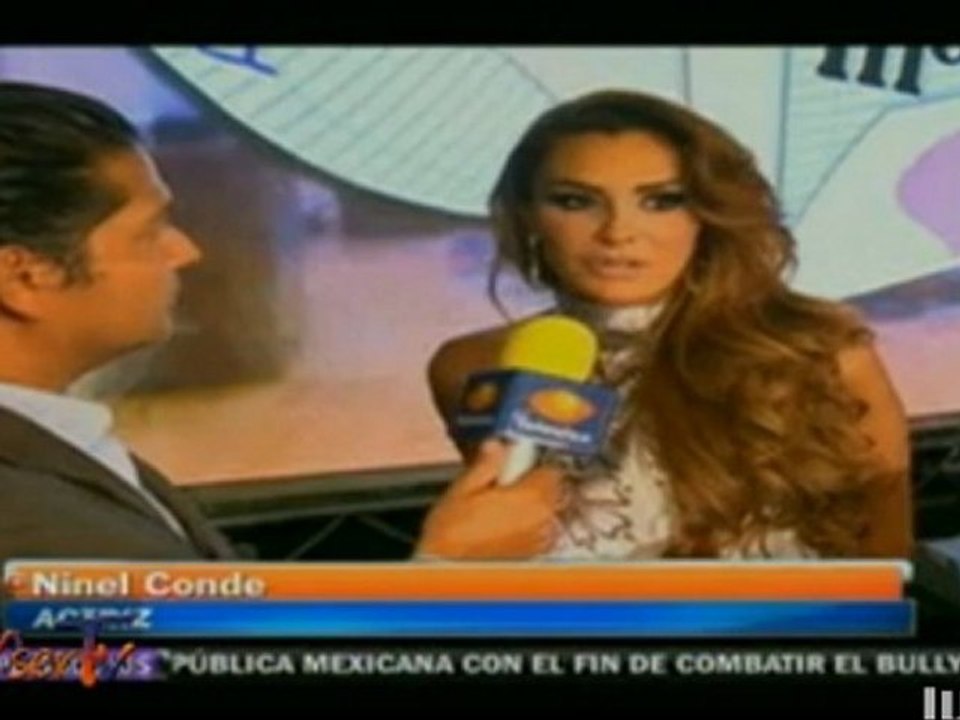 NOTA EN 1N
