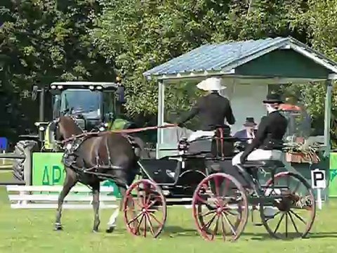 Le gratin de l'attelage français à Conty