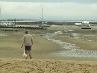 Portrait de Joël Dupuch