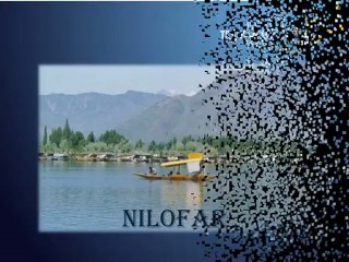 Kashmiri Translation Voice Over Examples