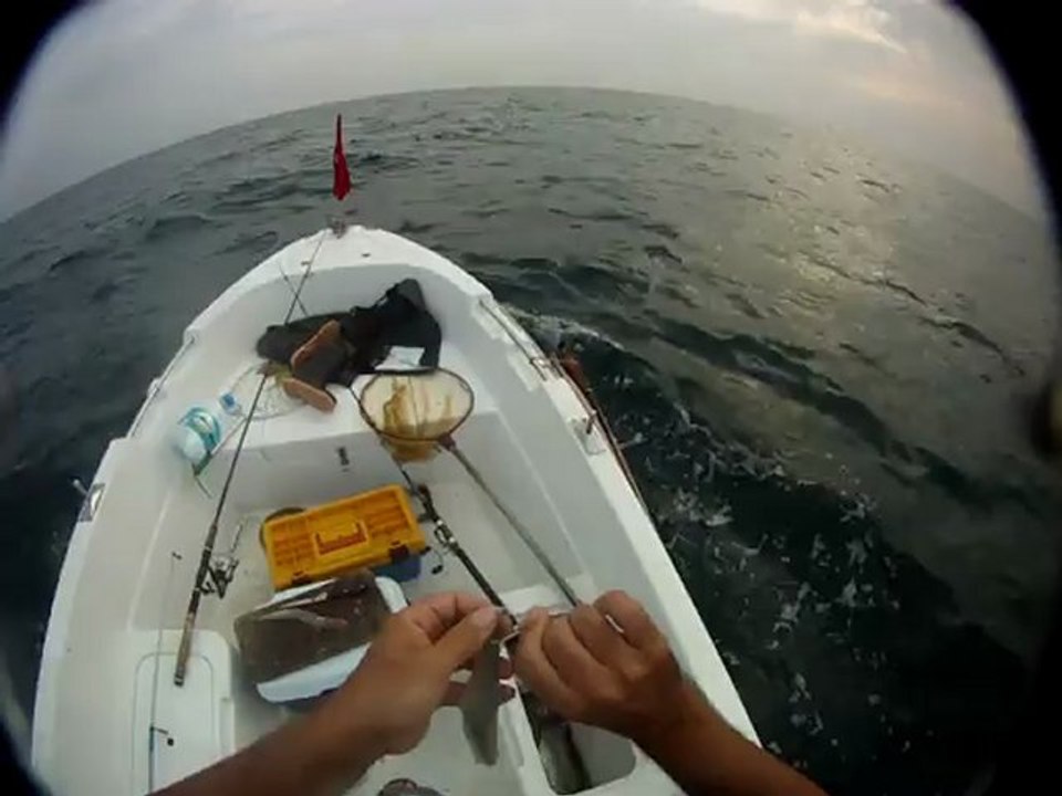 uzunolta lüfer avı