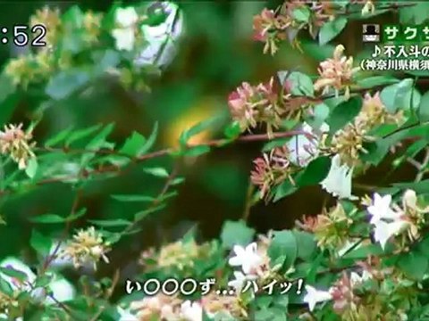 saku saku (20121005-0730 ｔｖｋ)-03